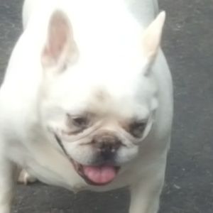 Meet your Posher, Bryan